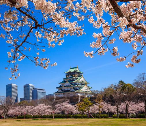 Osaka Castle Taiko-en Luxele OSAKA CASTLE WITH LUNCH (With Two- and Three-Night Packages) Today after breakfast, you will leave the hotel one last time