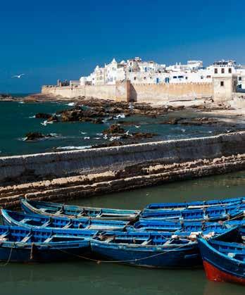 MOROCCO Essaouira Essaouira Coastal retreat & crafts centre Boat trips to the Iles Purpuraires to see Eleanora s falcons Essaouira is a delightful fishing town with fine sandy beaches.