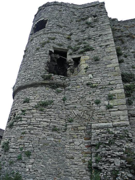 Middleham. The round or D shaped corner tower (the Prince s Tower) from the south, c.