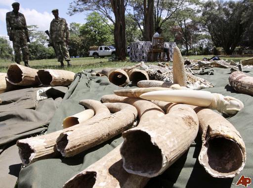 Poaching causes a huge problem for