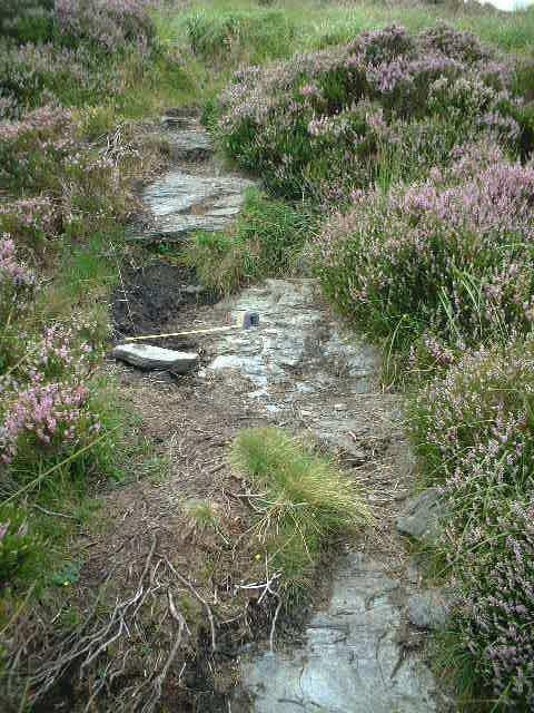 more exposed stone with stone steps on the slope;