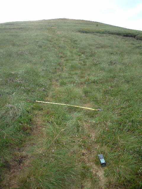 16 10125 86482 I pick up a 1m wide path, grass covered but worn at the edges, with grass and some heather either side; pic34 shows the path ahead up the final 200m to the summit of
