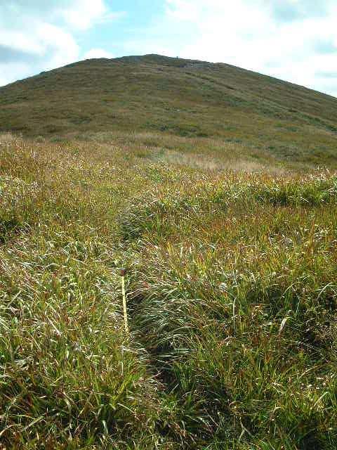 22 I took the more direct route to the NW Top on a faint single file path through the grass / flags; pic7 looking back up towards the summit; tape 0.
