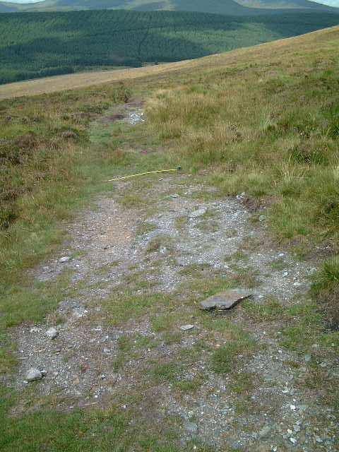 25 same pic8 shows the path running down NW to the highest point on the Aghavannagh Drumgoff