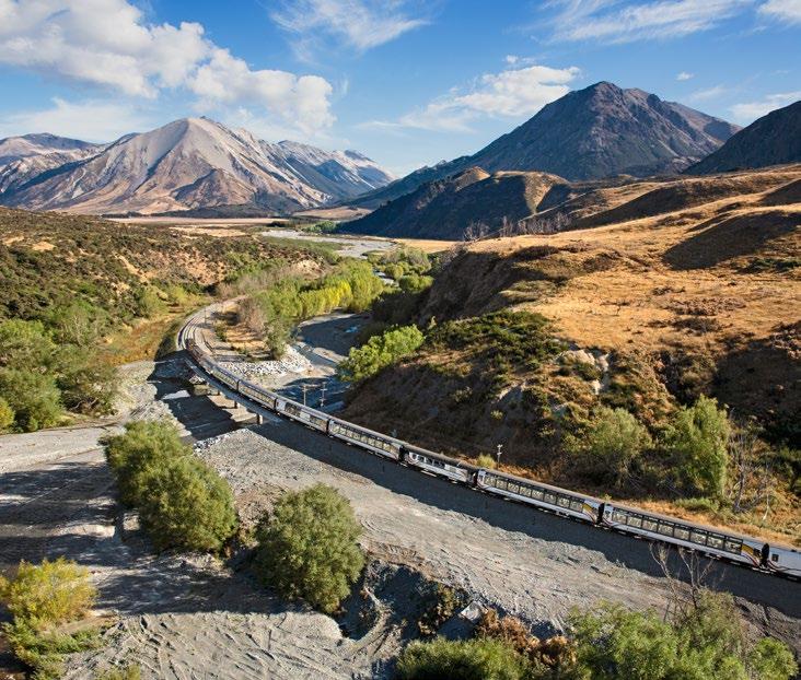 We then descend through stunning river gorges to the farming landscapes and rocky sea scapes of the lower North Island - all from large panoramic windows and the open-air viewing deck of the Northern