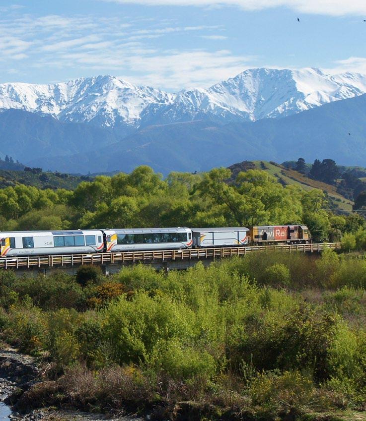 THURSDAY 24 OCTOBER 2019 (B) BLENHEIM - KAIKOURA - CHRISTCHURCH ON THE TRAIN We travel down one of the most beautiful coasts in New Zealand with its crashing waves, rugged rocks and seal colonies to