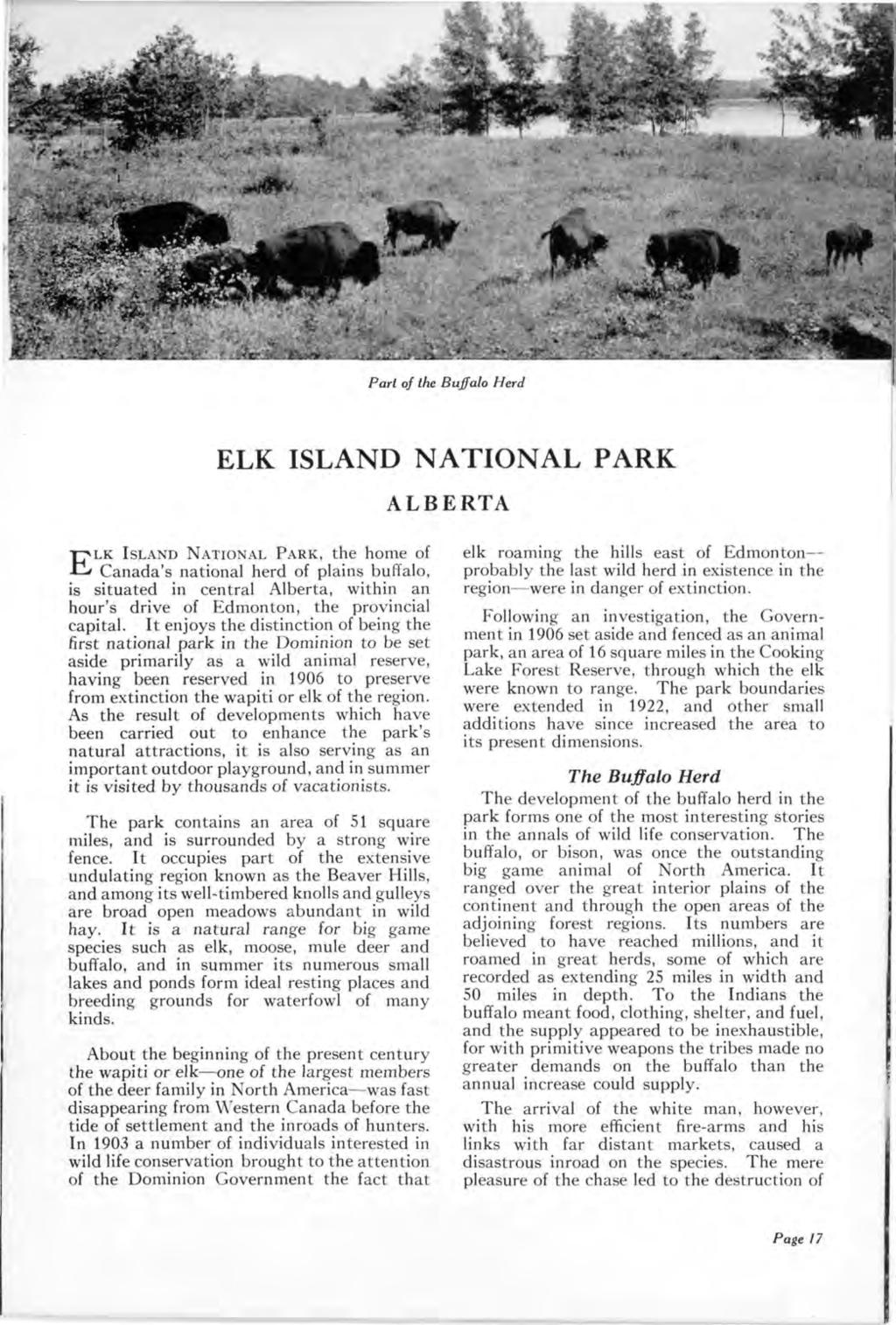 Part of the Buffalo Herd ELK ISLAND NATIONAL PARK ALBERTA LK ISLAND NATIONAL PARK, the home of E Canada's national herd of plains buffalo, is situated in central Alberta, within an hour's drive of