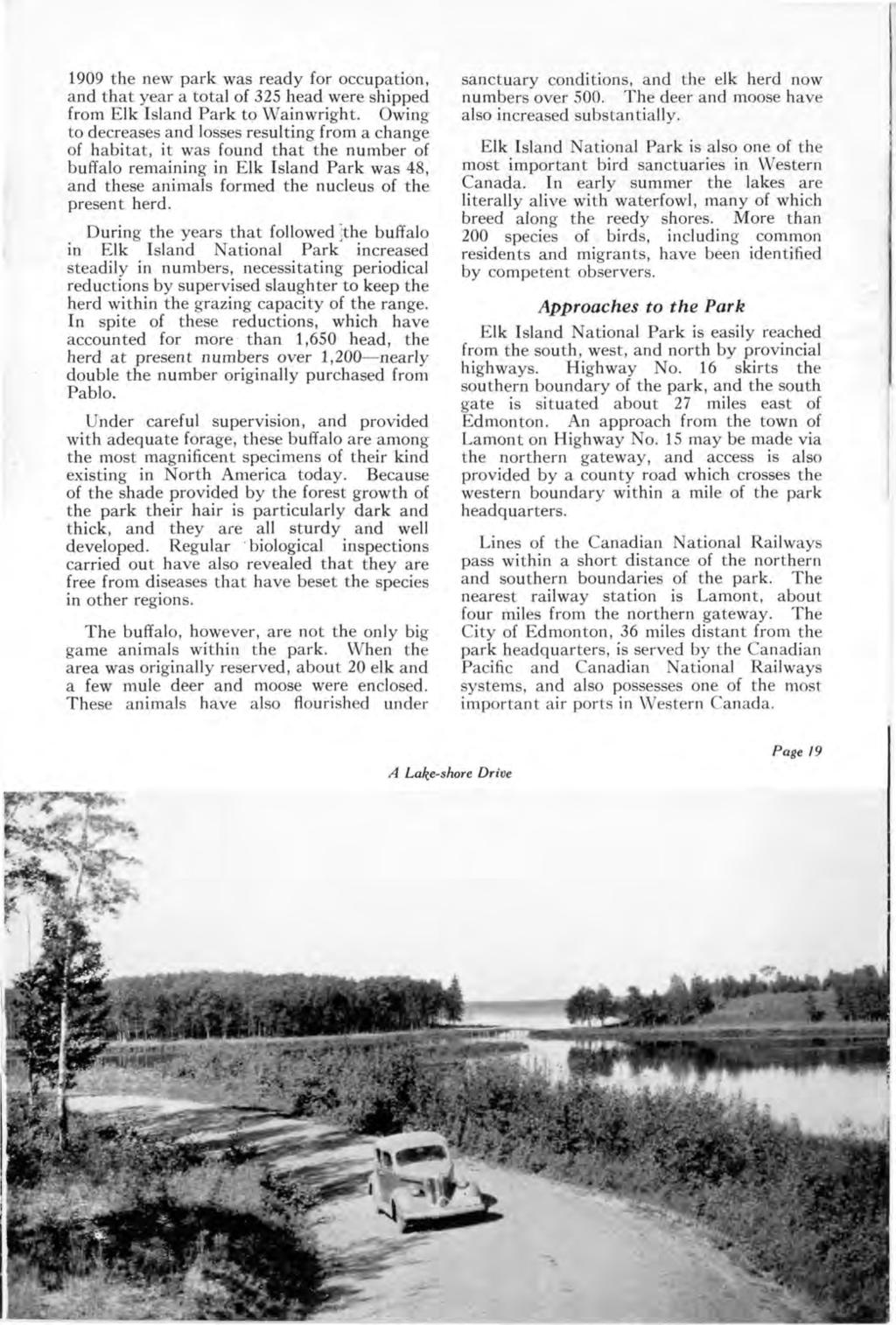 1909 the new park was ready for occupation, and that year a total of 325 head were shipped from Elk Island Park to Wainwright.