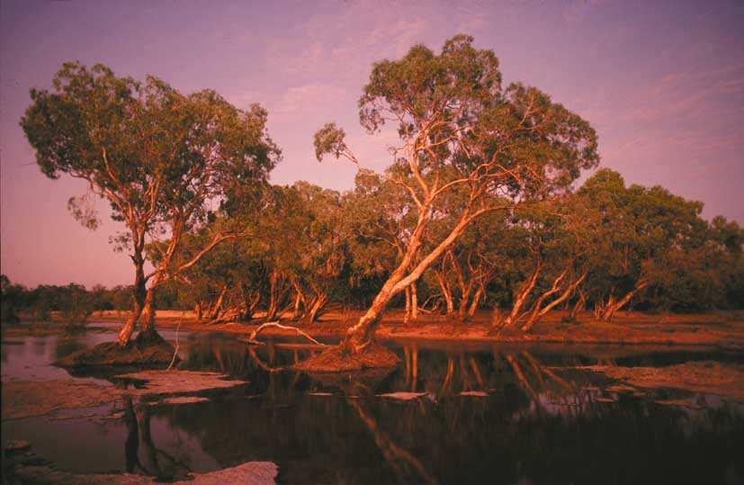 As this part of the country is inundated with flood waters during the wet, most travellers to Cape York follow the Overland Telegraph Line.
