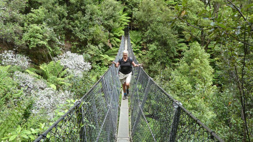 There was a metal suspension bridge overlooking the waterfall, and surprisingly