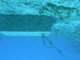 Cover an anchor block with corals