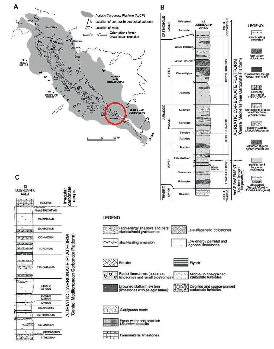 The AdCP deposits crop out in Italy, Slovenia, Croatia, Bosnia and Herzegovina, Serbia and Montenegro, and Albania (Fig. 6, Vlahović et al., 2005).