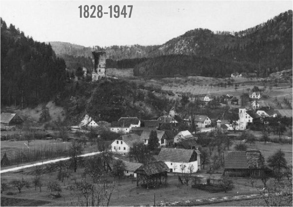 Photo 13 The castle ruins in the 2/4 of the 20th century the caste hill is still deforested (source: Slovene tnographical