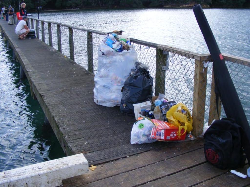 Photo 11 Rubbish over flow at Kauri Point (see previous