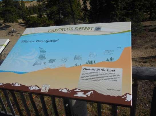 Sign: Carcross Desert, What is a Dune System?