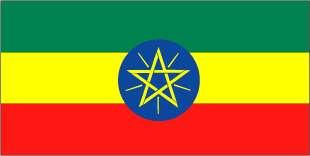 Ethiopia Language: Amharic, Tigrinya, Orominga