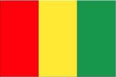 Guinea Language: French, Local languages