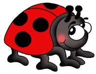 Camp Ladybug 2018 Important Info for Campers, Parents, & Guardians As Camp Ladybug continues to evolve year after year we have made a few adjustments So please make sure to read this sheet carefully
