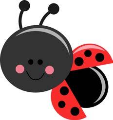 2018 Camp Ladybug Camper Application Form Camper Last First MI Birthdate Age (must be 6 or older) Sex: M or F (circle one)
