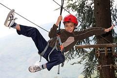 Half day Sport and leisure at Adventure park Teenagers Adult Let's play with the ADVENTURE PARK GENOVA-RIGHI, we will climb trees safely, passing from tree to tree with hanging platforms, steel
