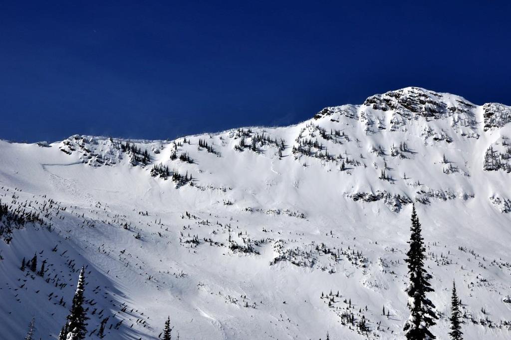 Figure 9: Crown of a natural avalanche on Peak 7798 (across the entire northeast face) in the Flathead Range near Essex that occurred during the large natural avalanche cycle in early March.