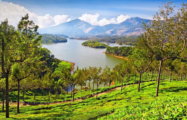 Discover Kerala Immerse Yourself 13 Days Active Kochi - Muhamma - Alleppey - Thekkady - Munnar - Palakkad India s most alluring state, Kerala