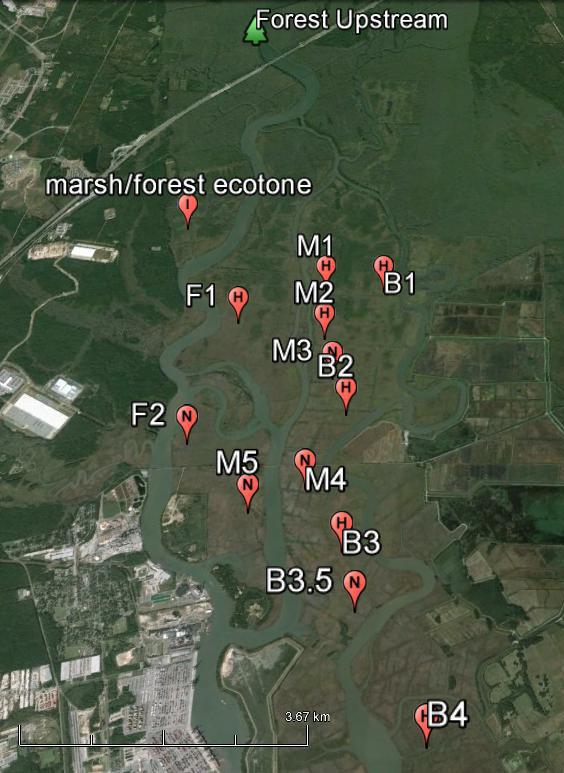 Figure 1: Locations of the twelve marsh monitoring areas.