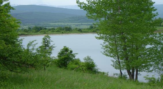 The terrain that is offered for development around the dam is 67 dca. The owner is looking for an investor to take a share in the development of a mineral water plant or tourist facilities.