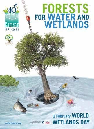 significance and problems of wetlands - rivers, lakes, marshes, sea coast, etc.