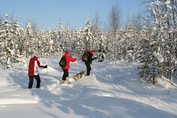 Individual tours Snow Fun - guided tours Beside the special week packages you also can choose from several additional guided activities of the weekly program.