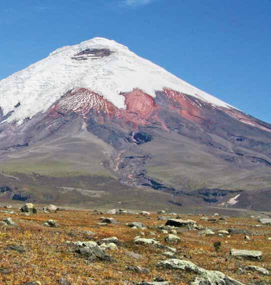 ECUADOR DISCOVERY YOUR VACATION INCLUDES 8 NIGHTS hotel accommodation including porterage 15 MEALS buffet breakfast (B) daily; 4 lunches (L); 3 three-course dinners (D) LOCAL HOST SM in Quito, Baños,