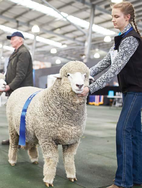 event, the Royal Melbourne Show is being held over