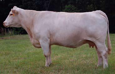 Her daughter sells as Lot 47.