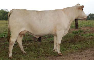 OHF VANESSA SPUR F924 09/24/2006 F1060787 POLLED EATONS PREDICTOR 9230 LT WESTERN SPUR 2061 PLD M645786 LT MAIDEN S BREEZE 8242P JWK VANESSA D029 ET F697355 HBR LADY PERFORMER 934 P EATONS PERFORMER