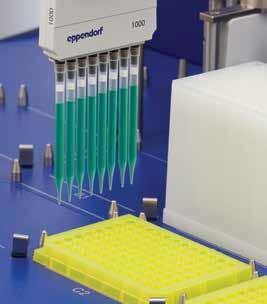 15 Thermo Scientific Automation Pipette Tips Liberate your instrument with a free sample of the new Thermo Scientific Automation Pipette Tips made to fit the Eppendorf epmotion automated pipetting