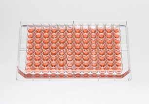 Take your cell based assays to the edge with the Thermo Scientific Nunc Edge plate; eliminate evaporation in lengthy incubations Nunc 96 Well Microplates are optimized for your cell culture