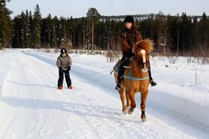 Menu of outdoor activities to substitute or add to the program for an extra cost o Horse riding Go horseback riding in the beautiful natural surroundings in the snow! Refreshmentsguide included.