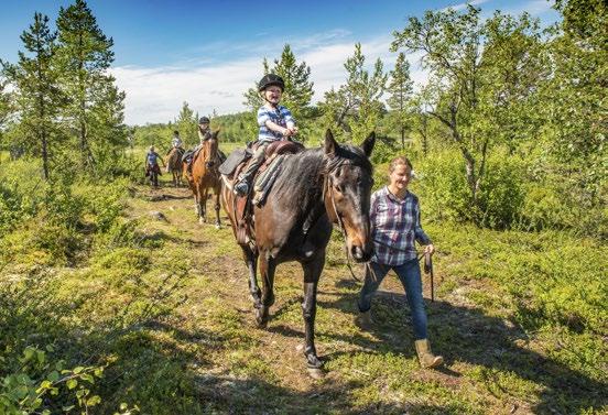 Guided Summer & Fall Activities Guided activities give you the opportunity to experience and learn more about Lapland! All our activities are led by experienced guides with knowledge of the area.