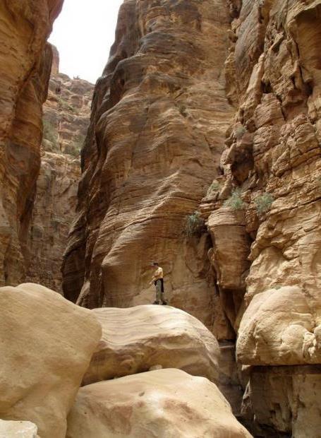 Itinerary: Saturday, May 13: Day one of your experience starts with an exciting adventure, hiking through one of the most beautiful wadis (canyons) in the