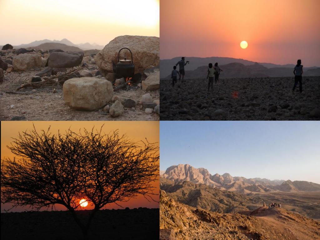 An hour and a half before sunset, we take a 20-minute stroll to an area overlooking Wadi Araba and the