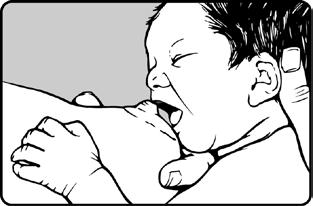 Sandwiching the breast, with baby rooting. Hold your baby so that their nose is tipped up just a bit. This is sometimes called a sniffing position.