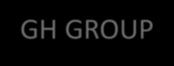 GH GROUP GH Group is a vibrant and boutique aviation experts group dedicated to meeting the needs of the business society and private wealth clients who wish to integrate business or private aircraft