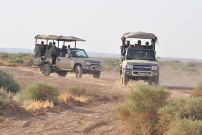 Shaumari Wildlife Reserve The Eastern Desert Experience Shaumari Wildlife Reserve was established in 1975 by the Royal Society for the Conservation of Nature as a breeding center for endangered or