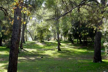 Dibeen Forest Reserve The Wild Woods of Jordan With rolling hills and deep wadis covered by mixed pine oak forests, Dibeen is representative of the wild woods that once covered a large part of