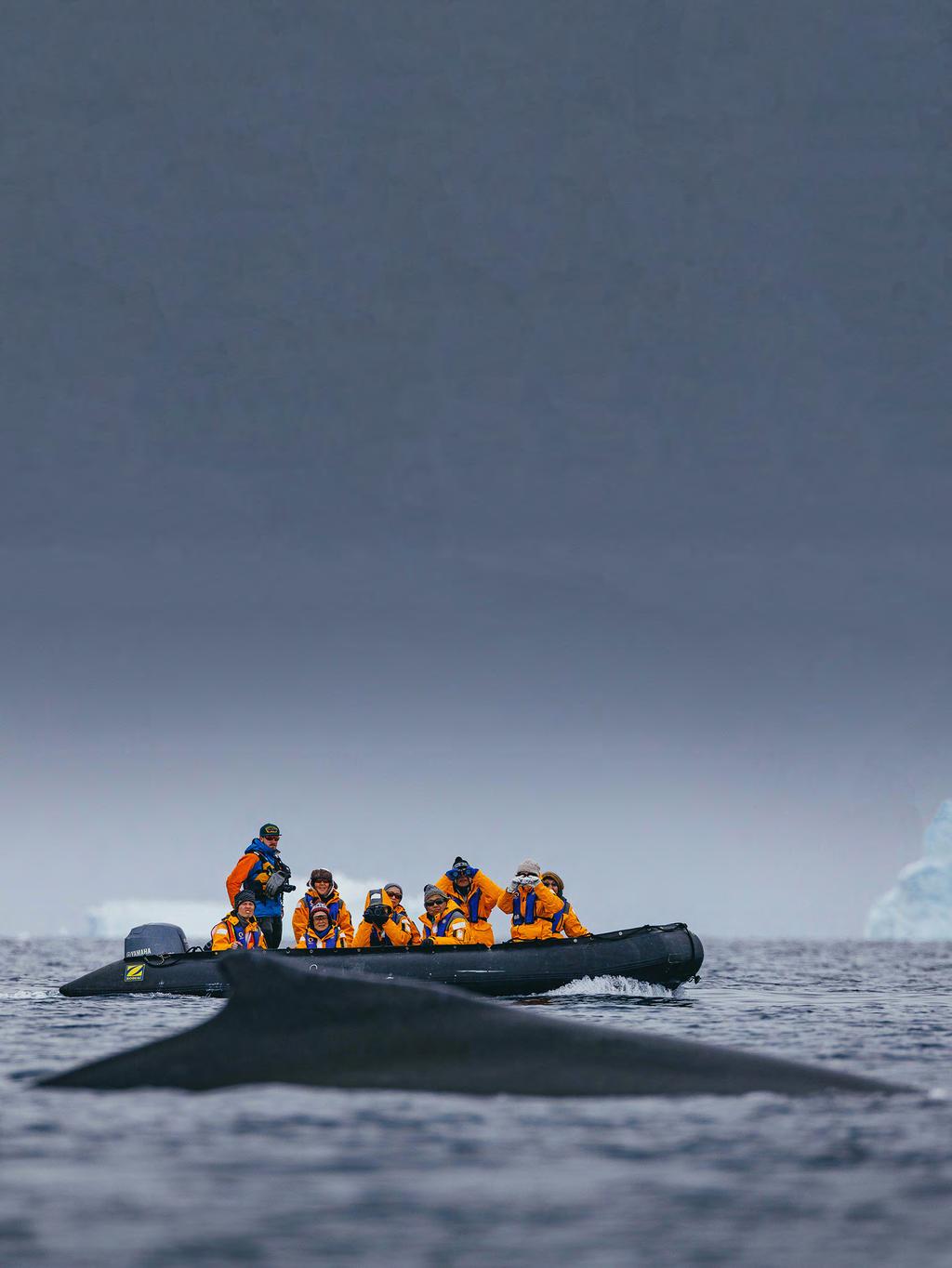 TO BOOK YOUR NEXT ADVENTURE Contact your Travel Professional or a Quark Expeditions Polar Travel Adviser 1.888.892.