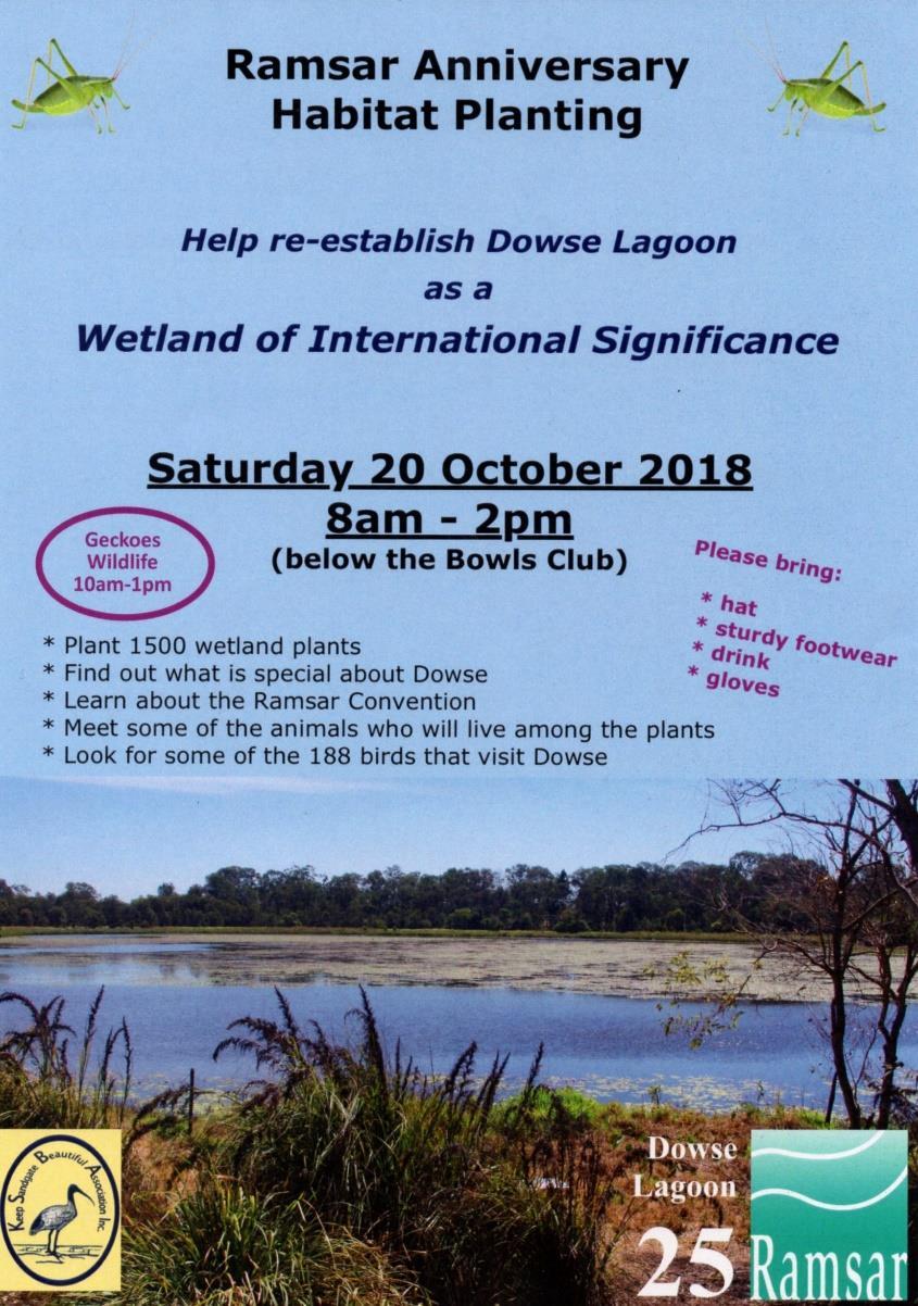 Wetlands Tree Planting Dowse Lagoon Keep Sandgate Beautiful Association (KSBA) is organising a wetland planting on 20 October 2018 to celebrate the 25 th Anniversary of Dowse Lagoon being declared a