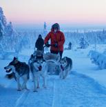In the winter, you can enjoy the thrill of speed on a husky safari, enter the wild on
