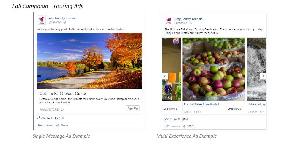 Facebook Campaign Fall Campaign - Fall colour
