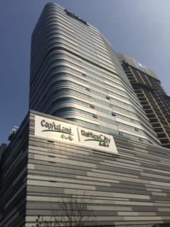 6 ID LuOne 7 ID Innov Center 8 Office Innov Centre Phase 2 (U/C) 9 Office Capital Tower (U/C) 10 Mall CapitaMall Qibao