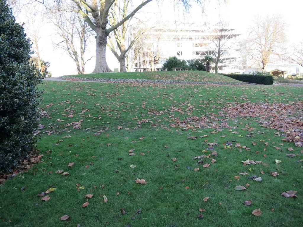Set into the grass in front of you is a memorial to the men from Reading who took part in